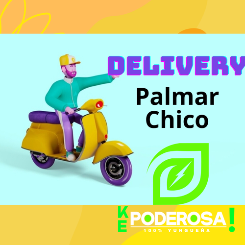 Delivery Palmar Chico